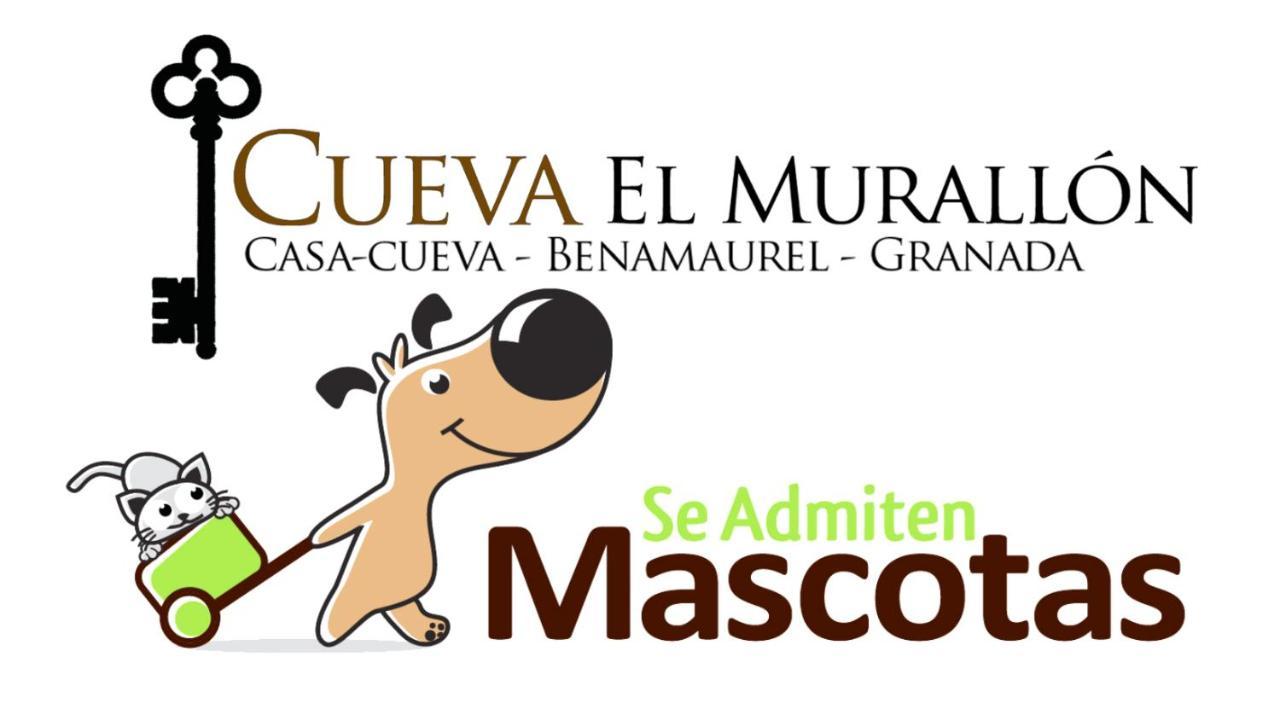 Cueva El Murallon * Benamaurel